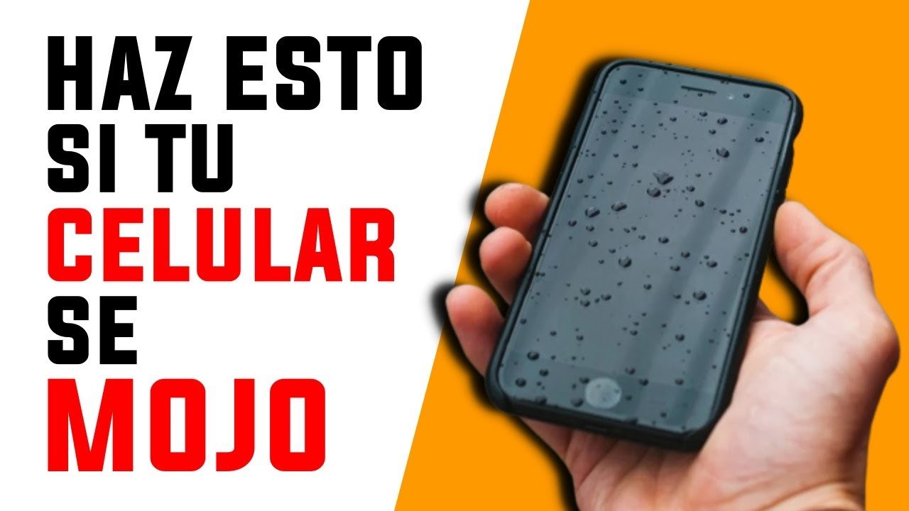 ¿Qué hacer si tu celular se moja? Consejos prácticos 7 maxresdefault 1